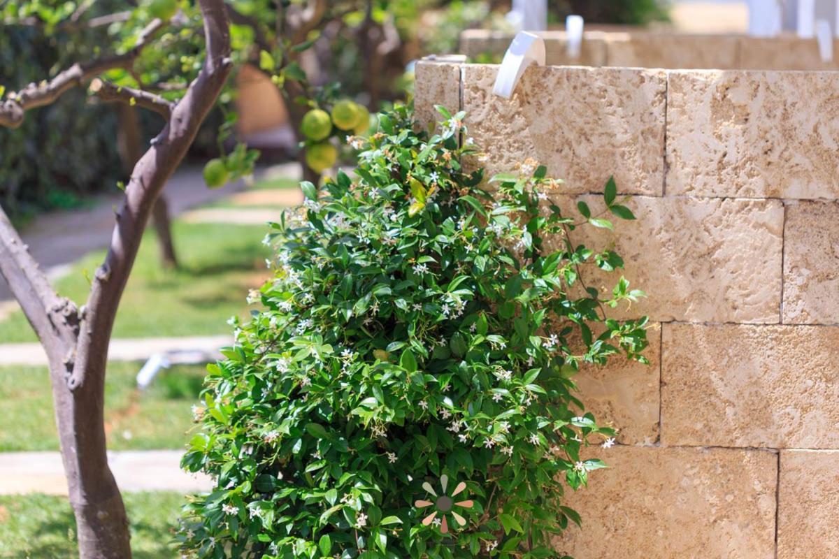 טורה לפילו Agriturismo Tenuta Margherita מראה חיצוני תמונה