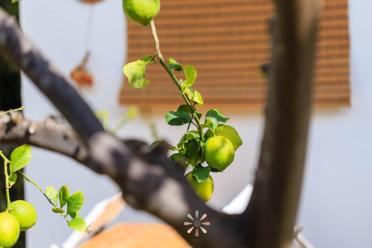 טורה לפילו Agriturismo Tenuta Margherita מראה חיצוני תמונה