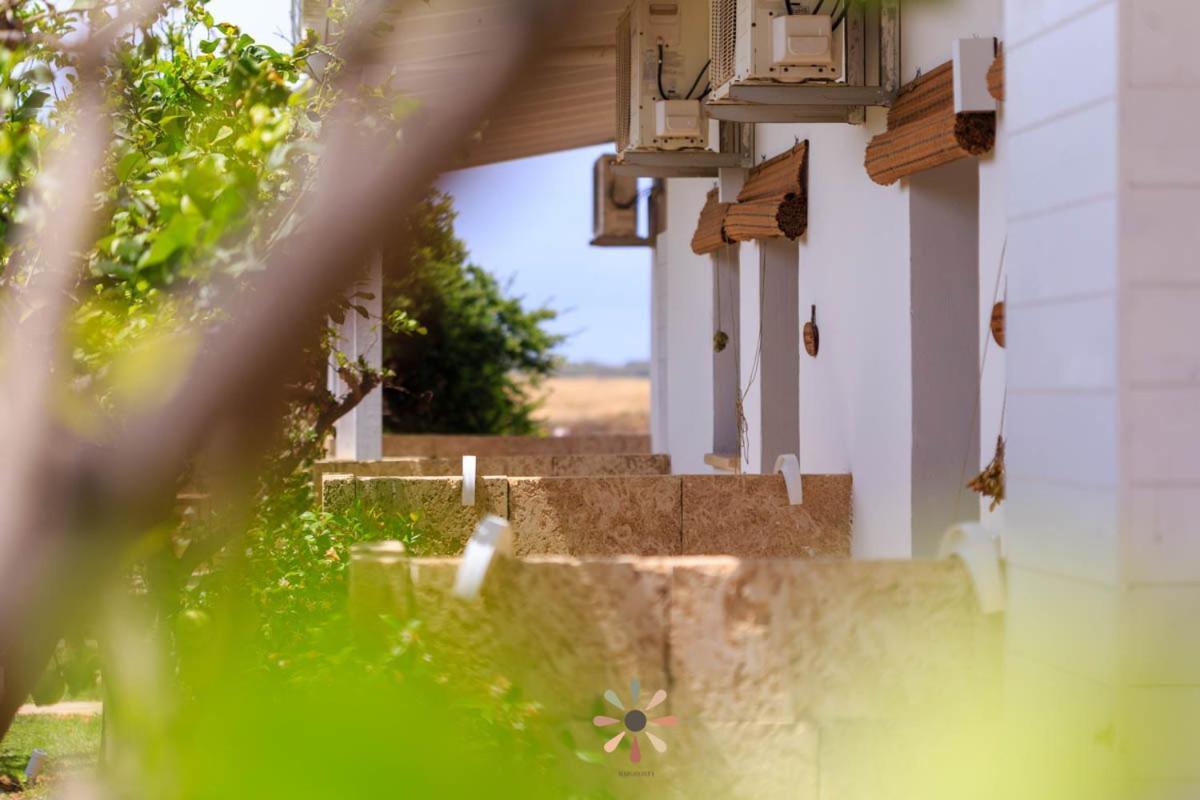 טורה לפילו Agriturismo Tenuta Margherita מראה חיצוני תמונה