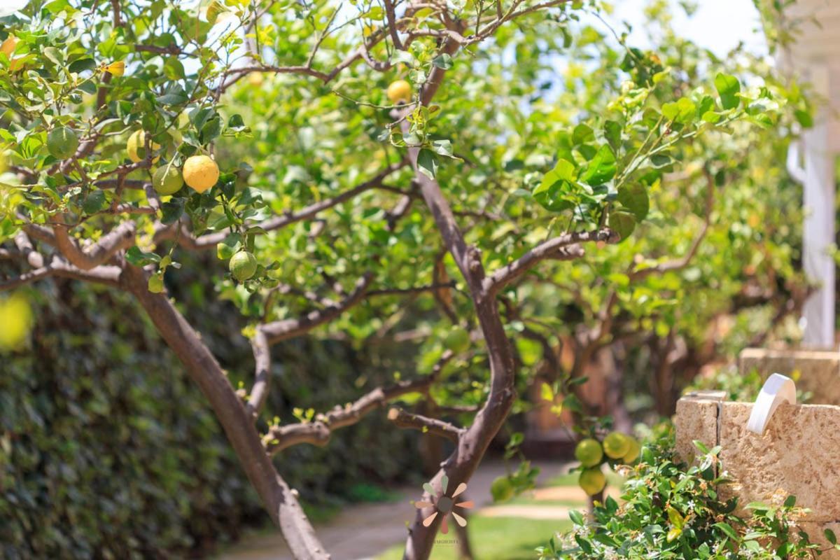 טורה לפילו Agriturismo Tenuta Margherita מראה חיצוני תמונה