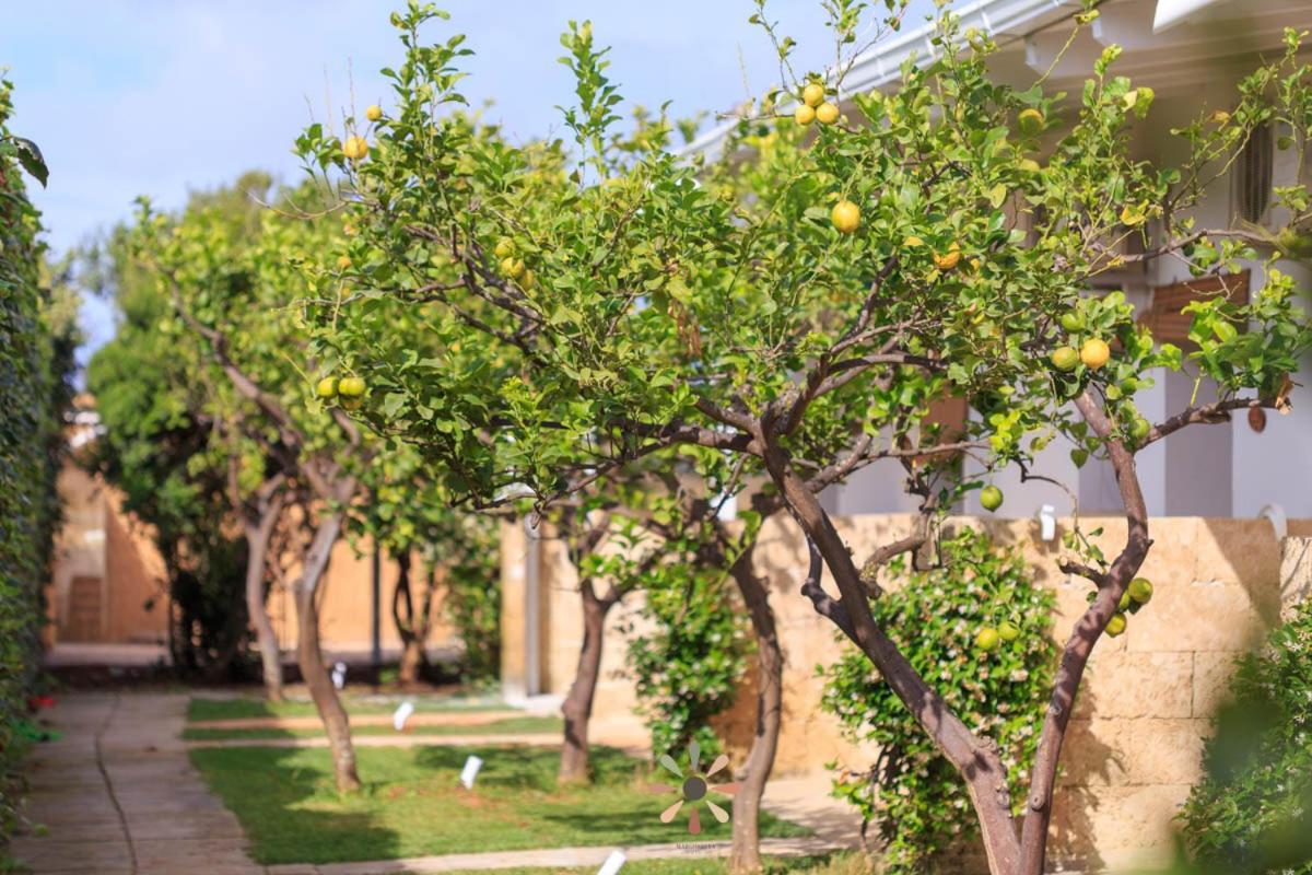 טורה לפילו Agriturismo Tenuta Margherita מראה חיצוני תמונה